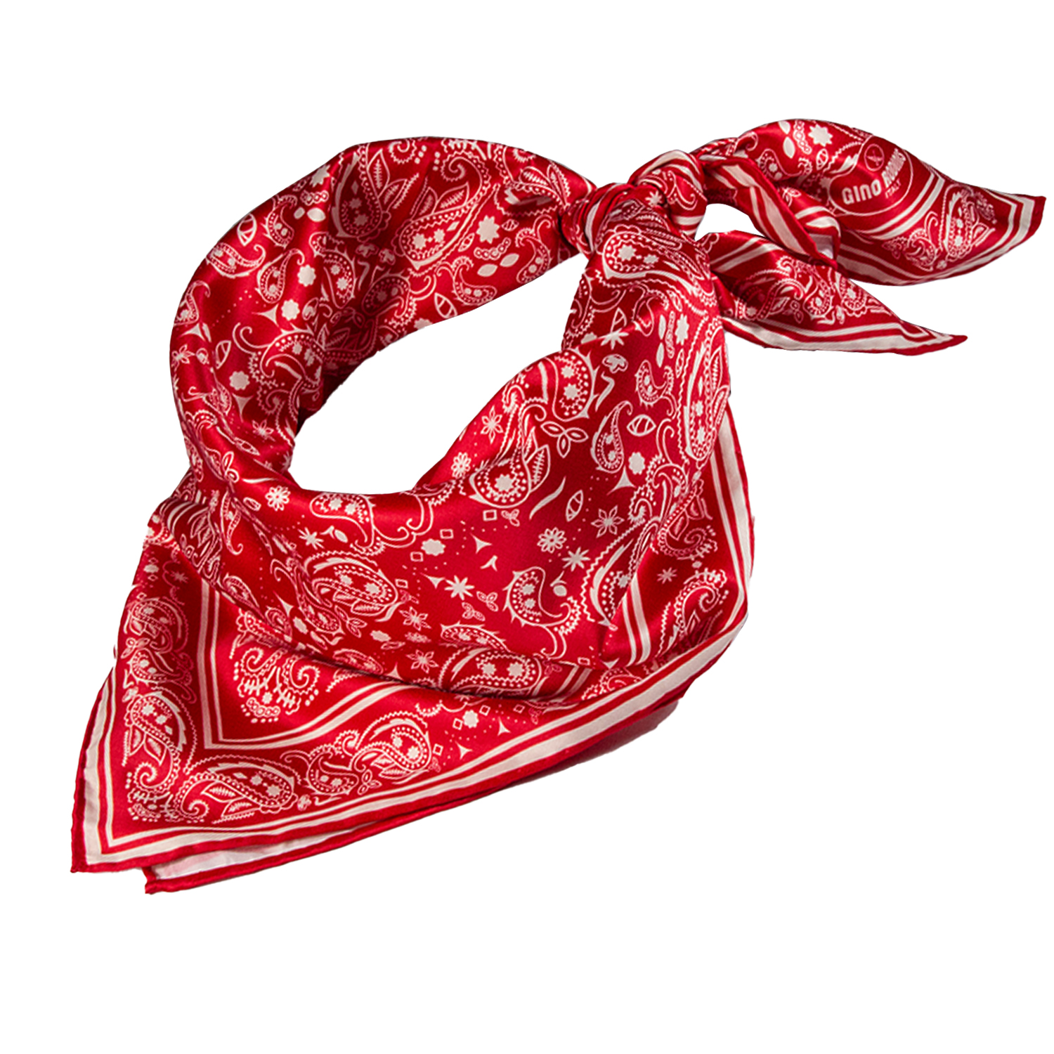 Vista frontal de Bandana